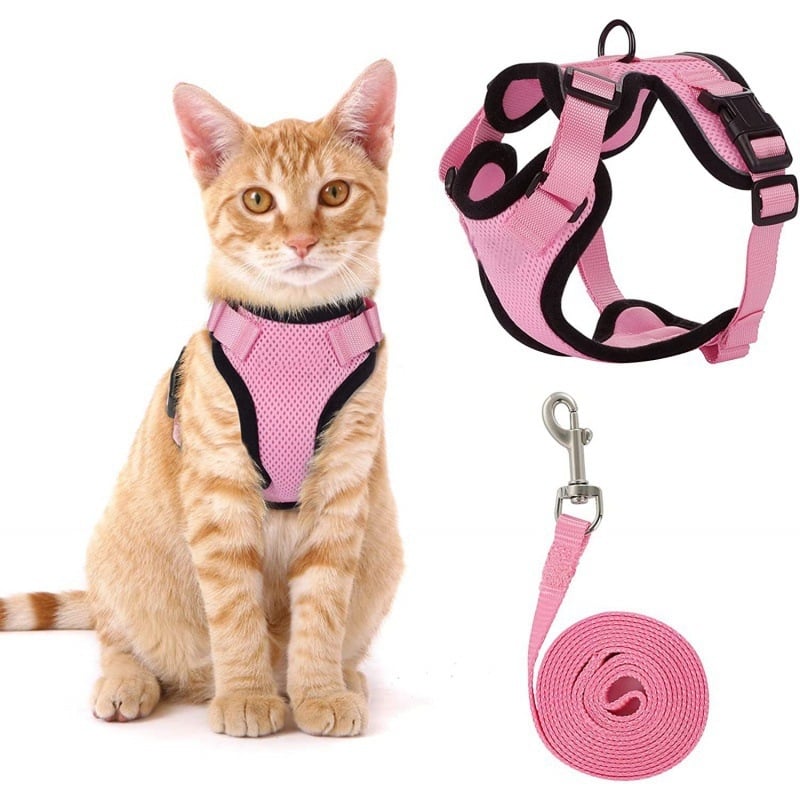 Escape-Proof Reflective Cat Harness and Leash Set