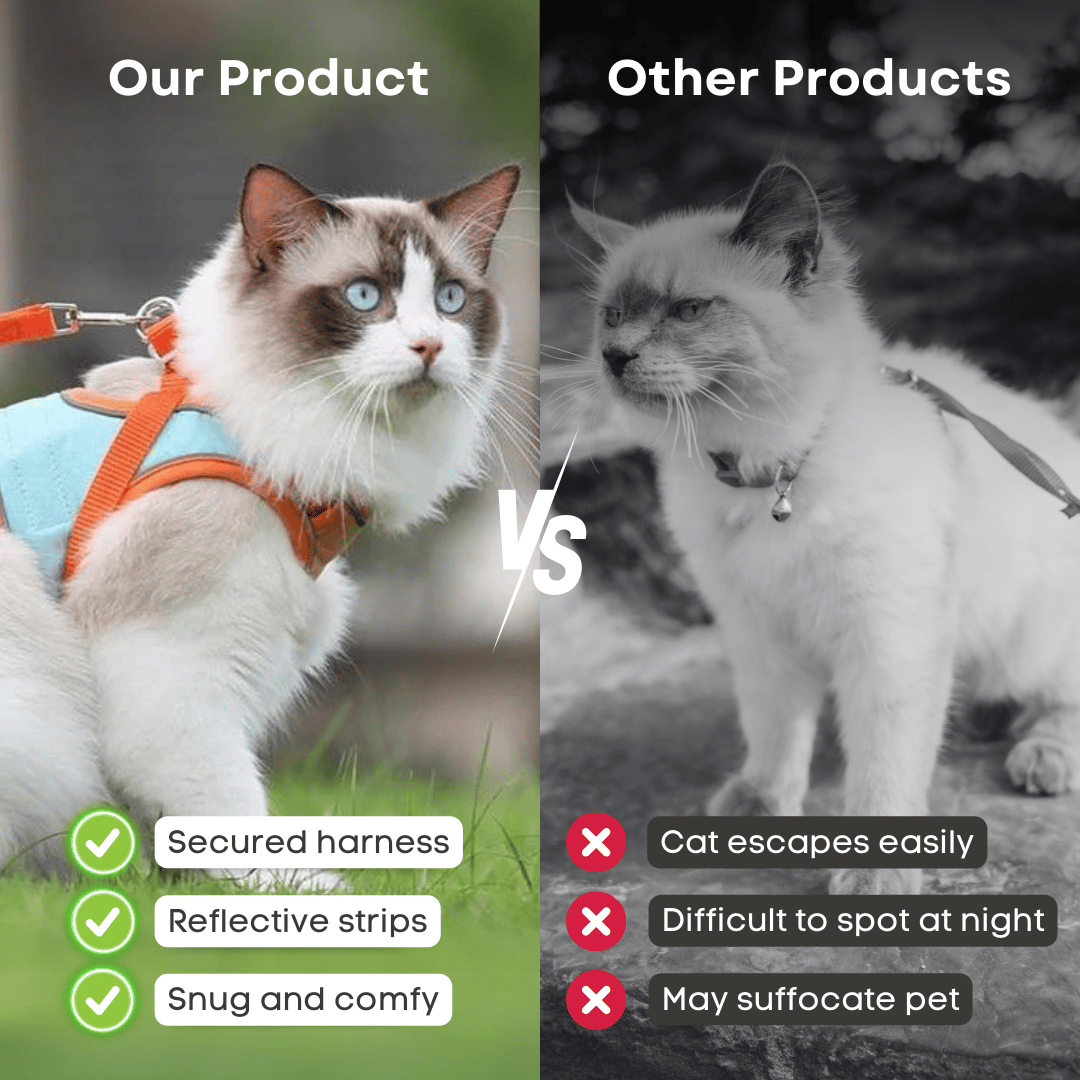 Escape-Proof Reflective Cat Harness and Leash Set