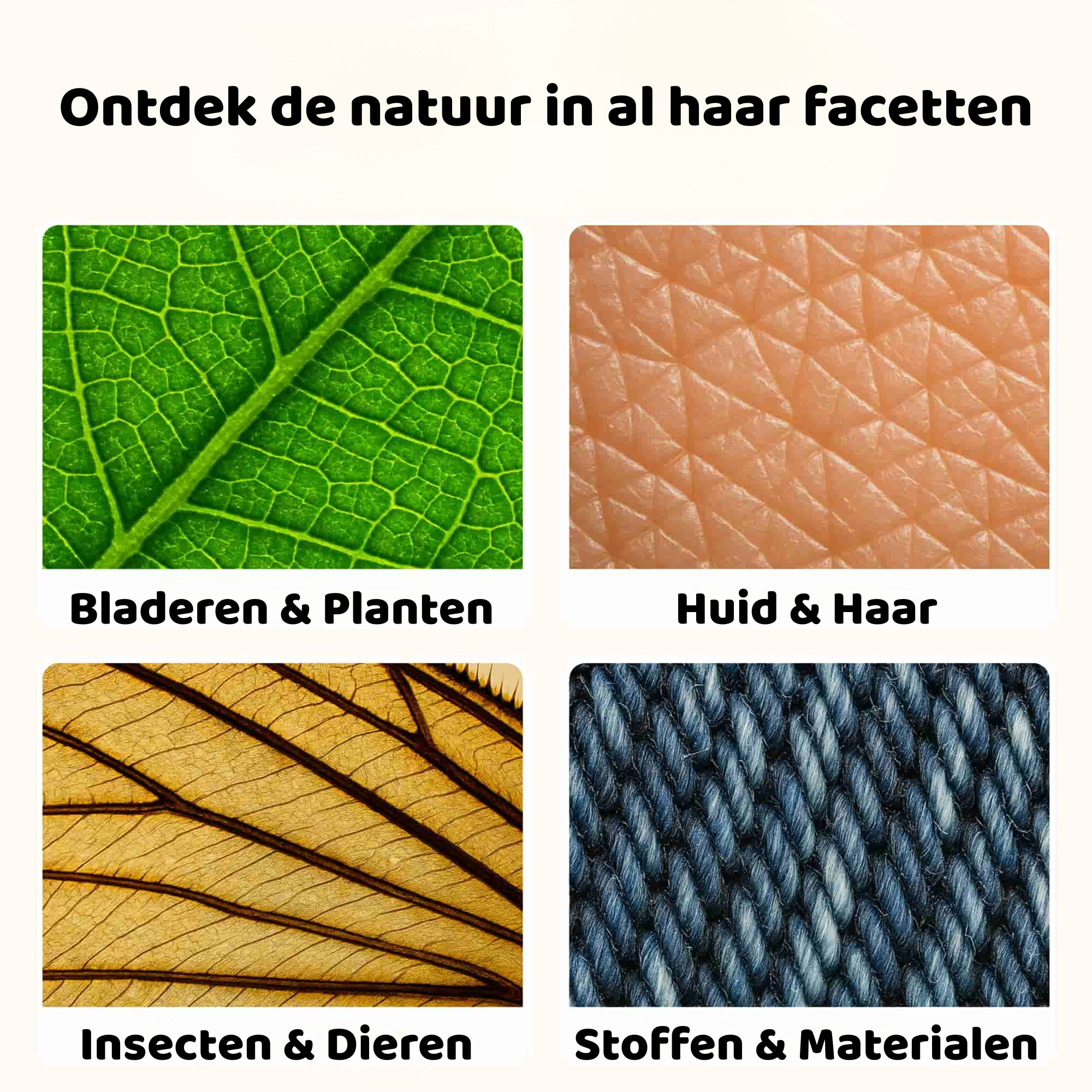 Avonturen Microscoop