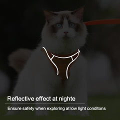 Escape-Proof Reflective Cat Harness and Leash Set