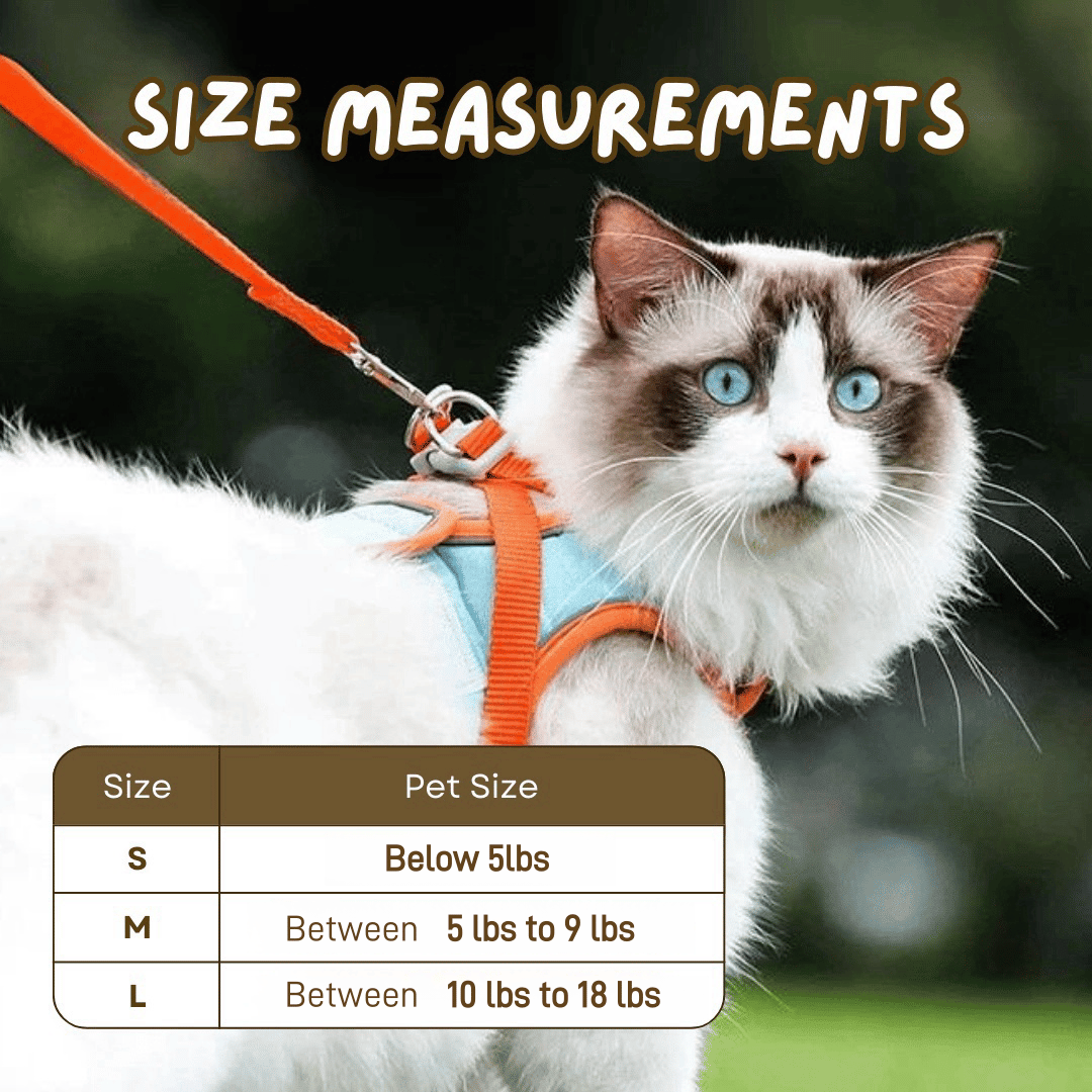 Escape-Proof Reflective Cat Harness and Leash Set