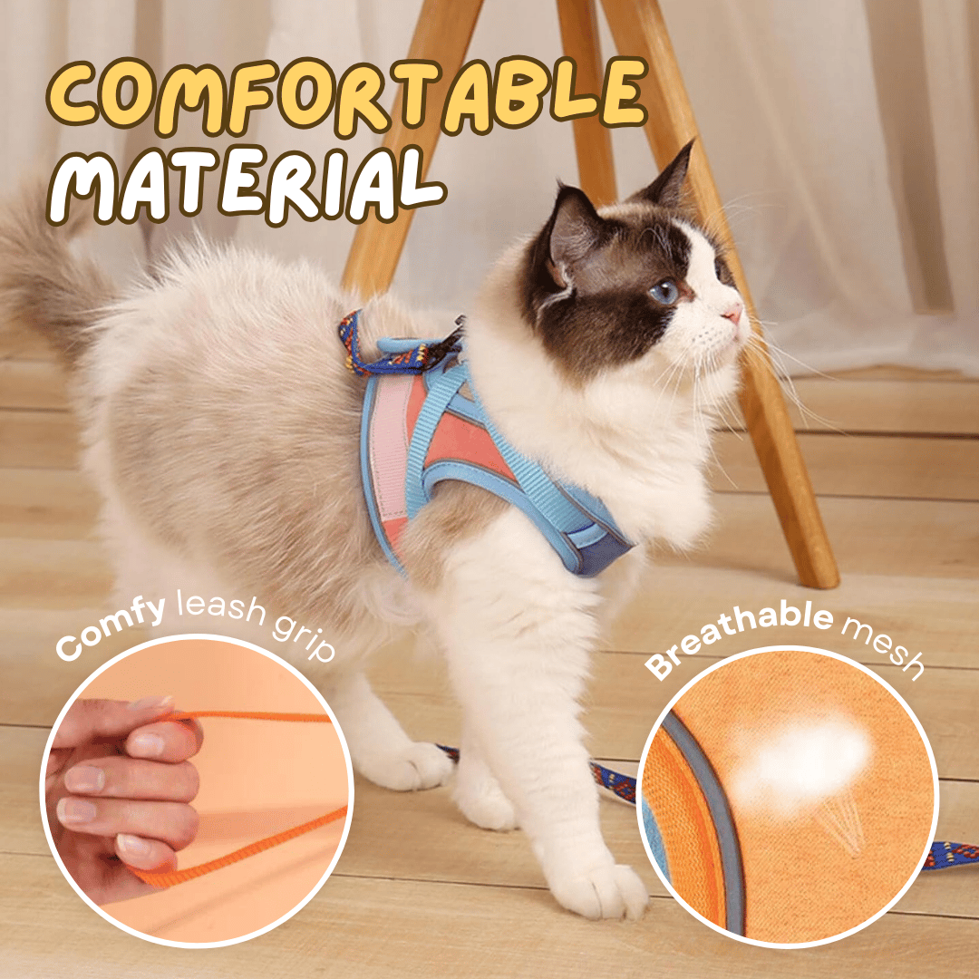 Escape-Proof Reflective Cat Harness and Leash Set