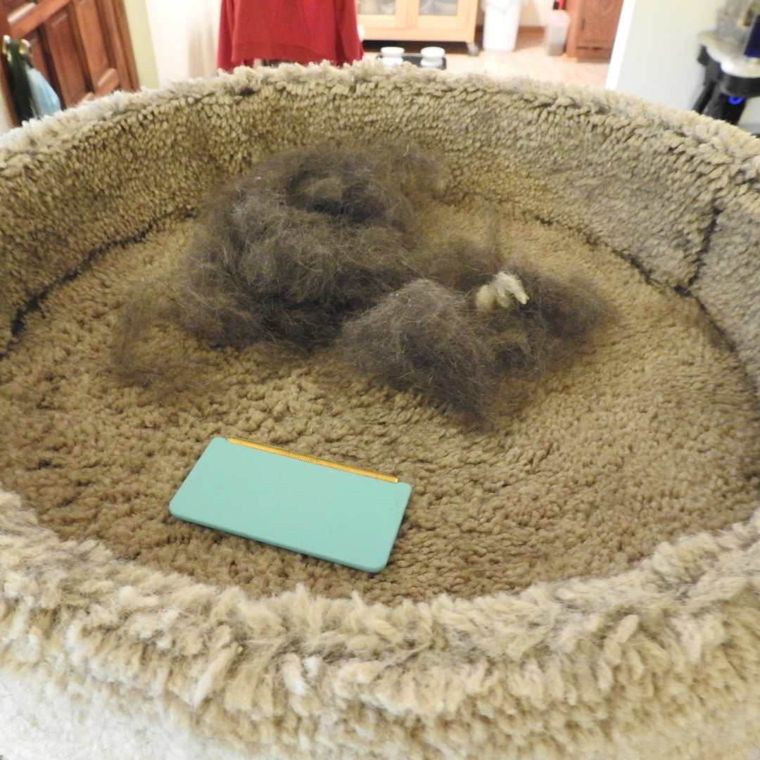 Fur-pocalypse Survival Kit - The Complete Uproot Package™